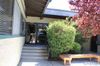 3680 Grant Dr photo
